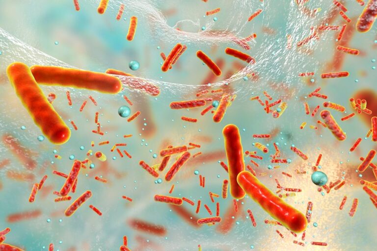 Antibiotic-resistant-bacteria-inside-a-biofilm_3D-illustration_copyright_Adobe-StockDr_Microbe